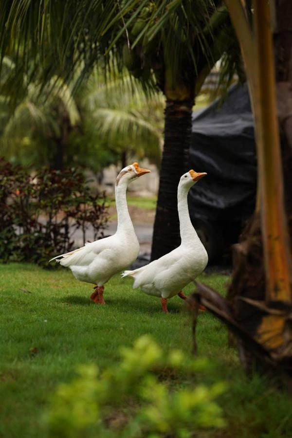 The Kerala Village, Shahapur Shenwa Buitenkant foto